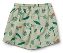 Duke Board Shorts: Jungle/Dusty Mint Mix