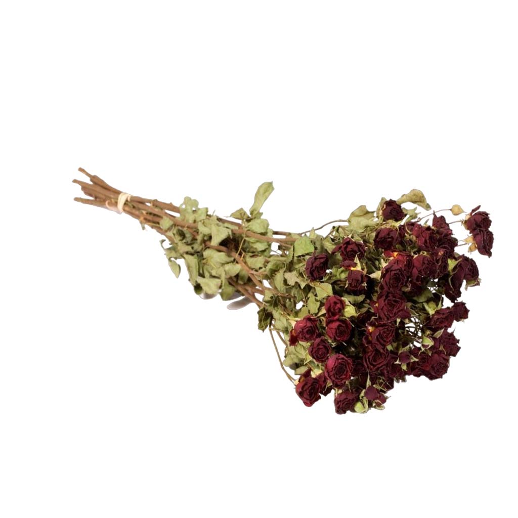 Dried Flowers - Spray Roses Natural Red
