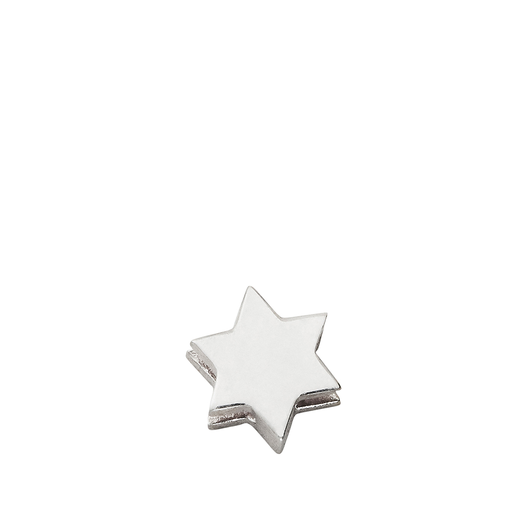 Silver Charm Star