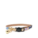 Cat Collars