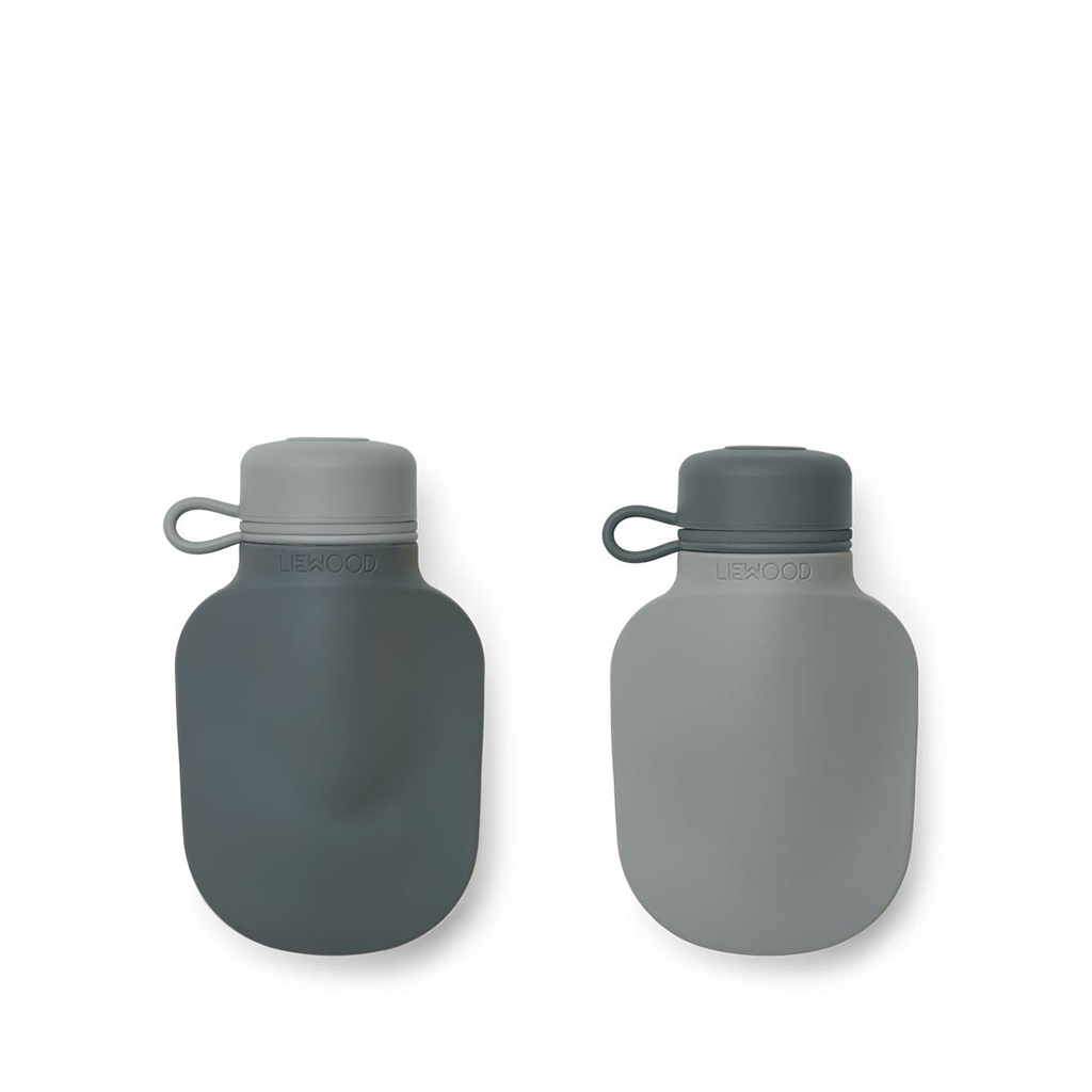 Silvia Smoothie Bottle, 2 pack